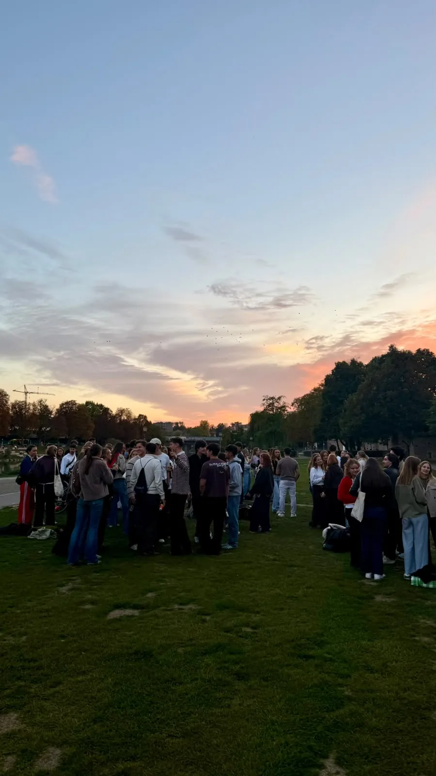 Erstis auf der Donauwiese bei Sonnenuntergang